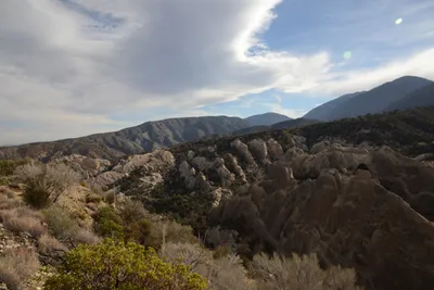 DSC_6229 (Large).JPG